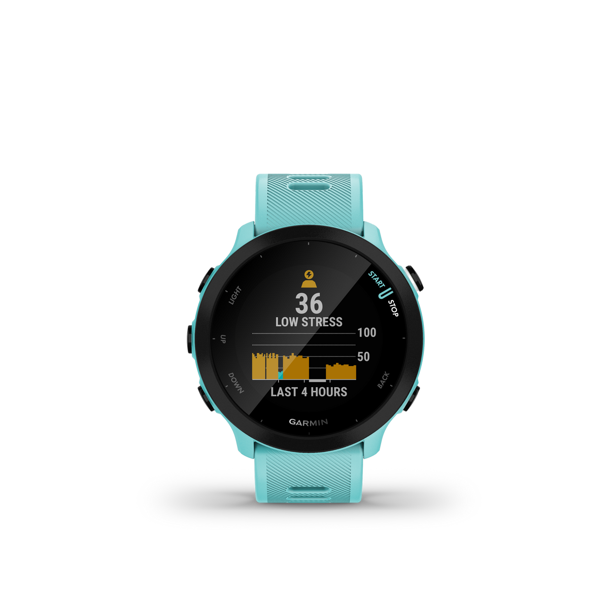 Garmin Forerunner 55 Bleu