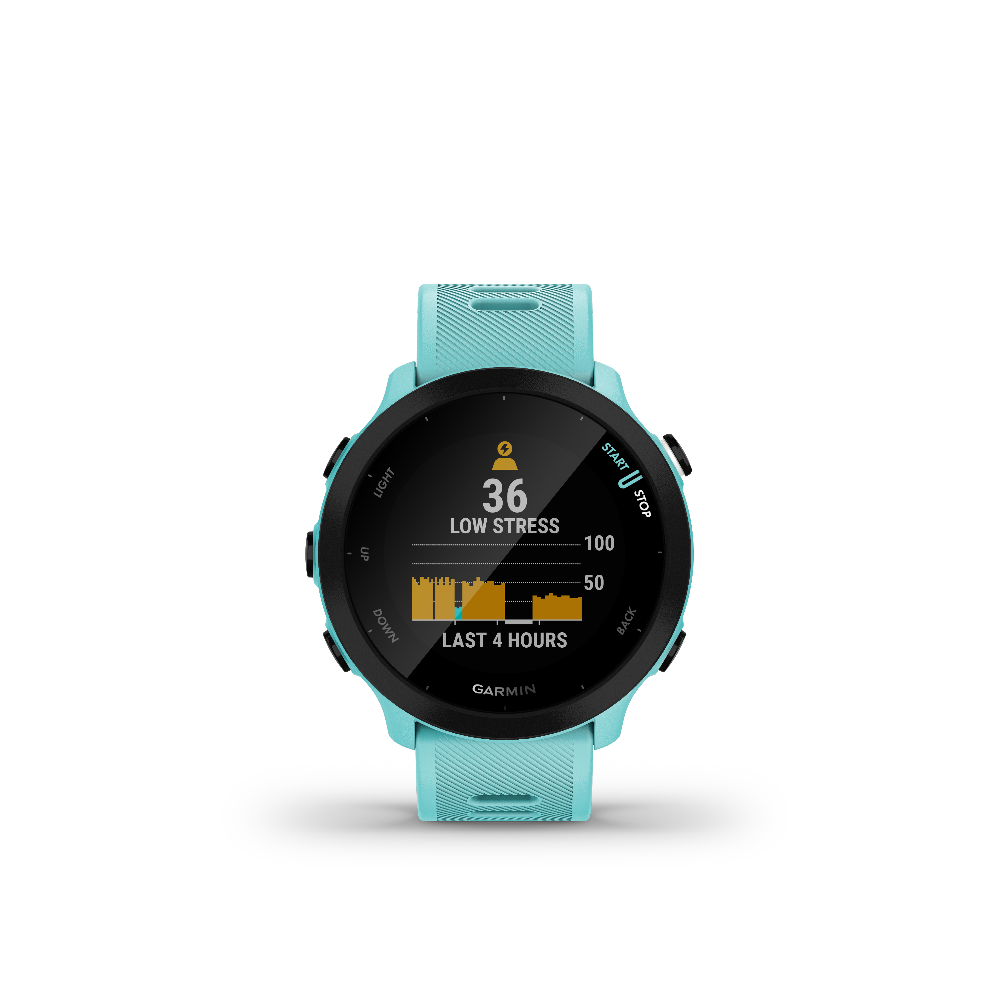 Garmin Forerunner 55 Bleu
