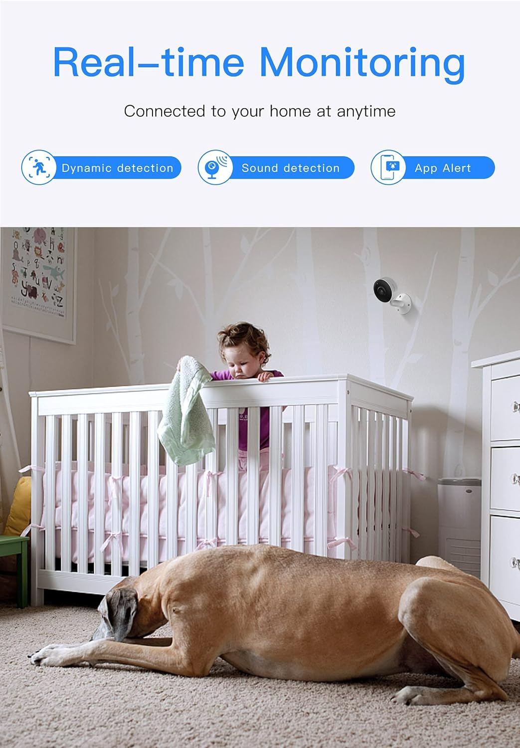 Mini-caméra intérieure Wi-Fi 1080P Arenti