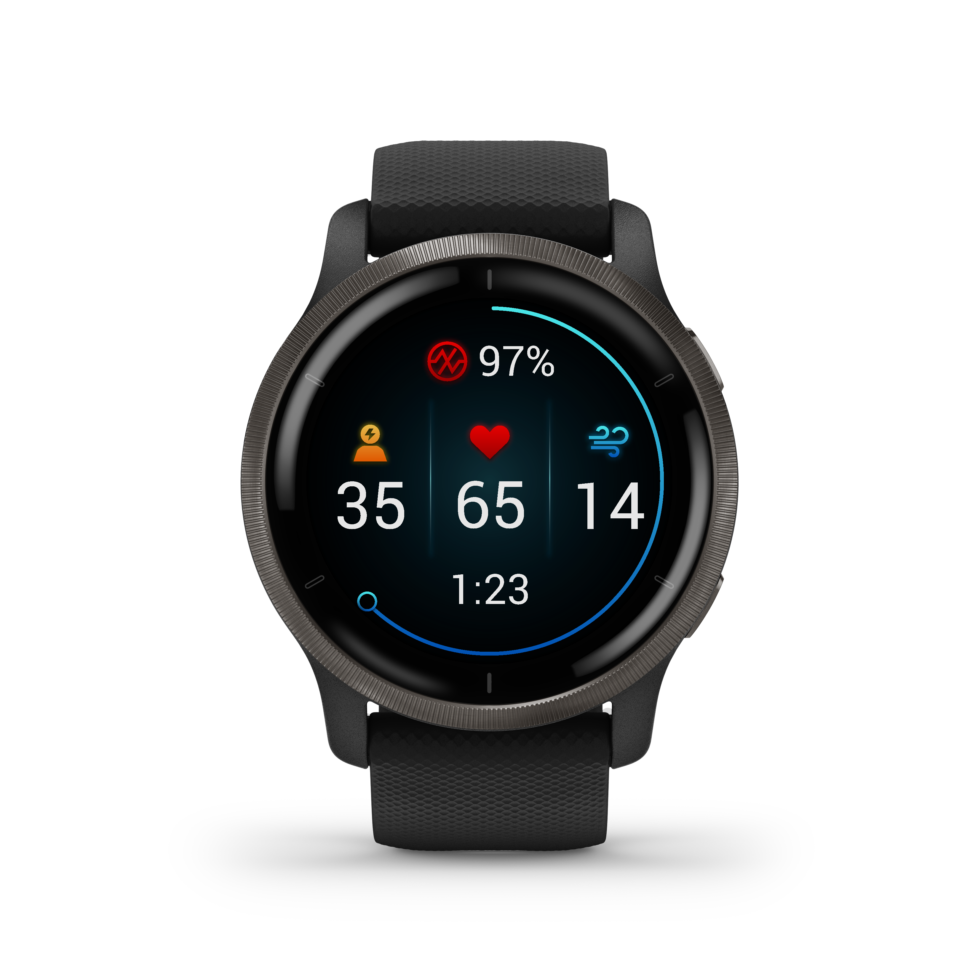 Garmin Venu 2 45mm Smartwatch Black
