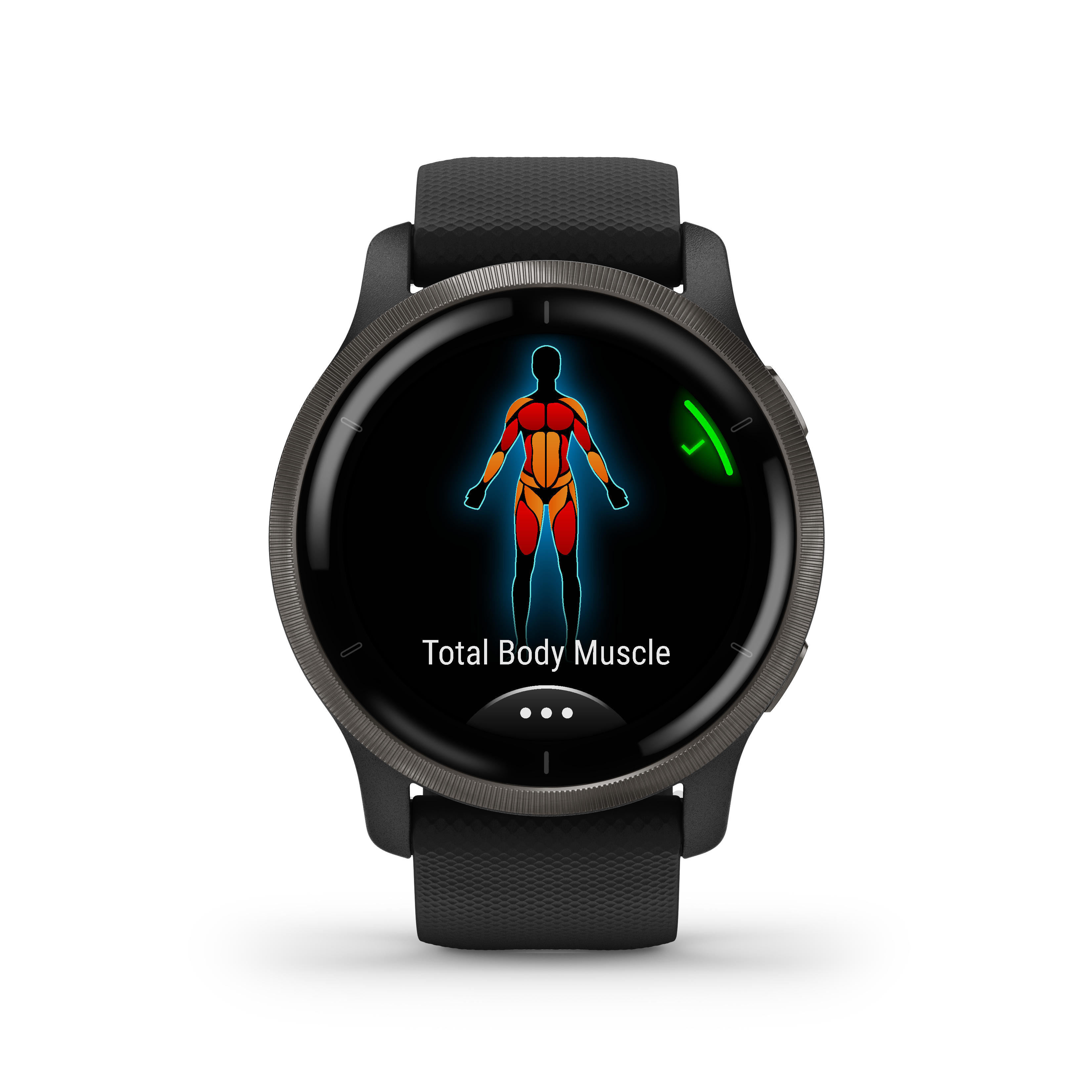 Garmin Venu 2 45mm Smartwatch Black