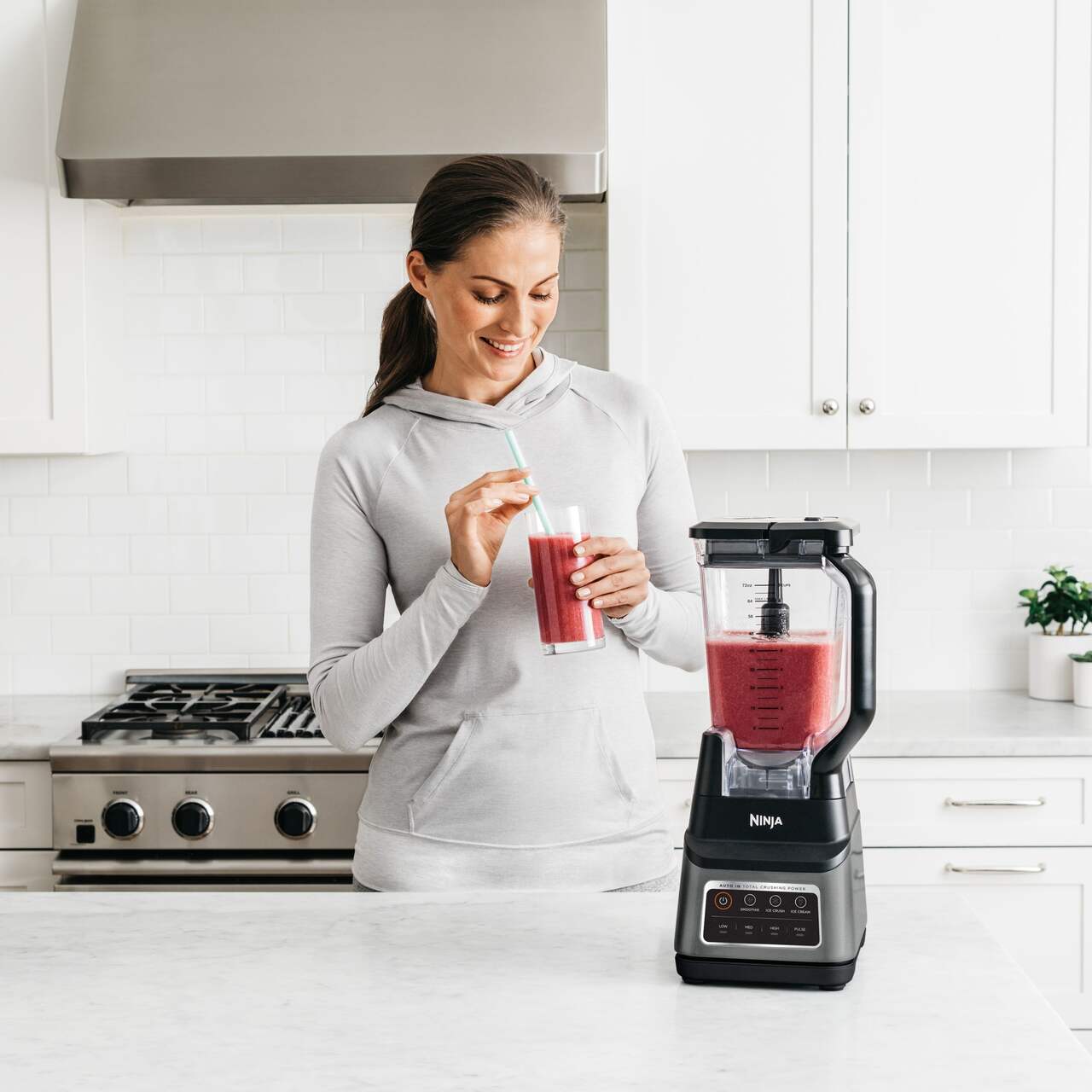 Ninja Professional Plus Blender - Black & Grey