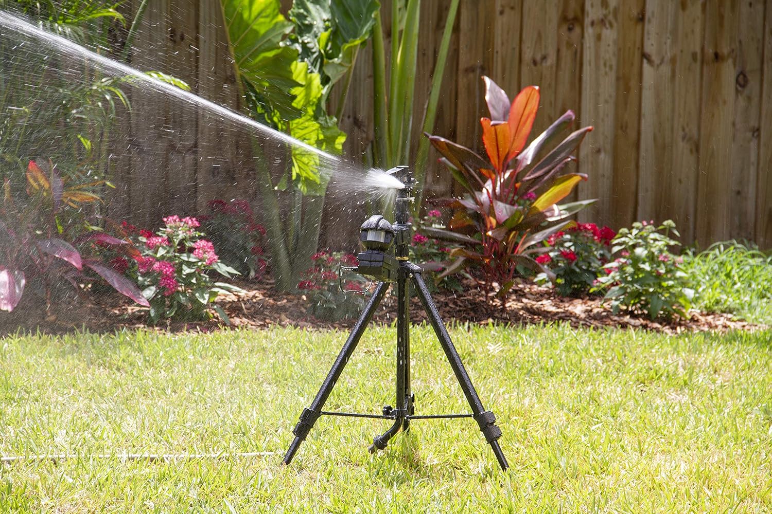 Arroseur Orbit Garden Enforcer activé par le mouvement