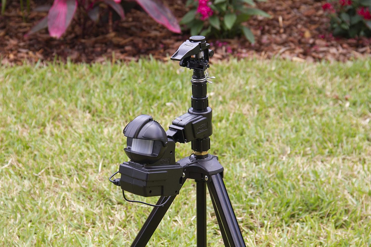 Arroseur Orbit Garden Enforcer activé par le mouvement