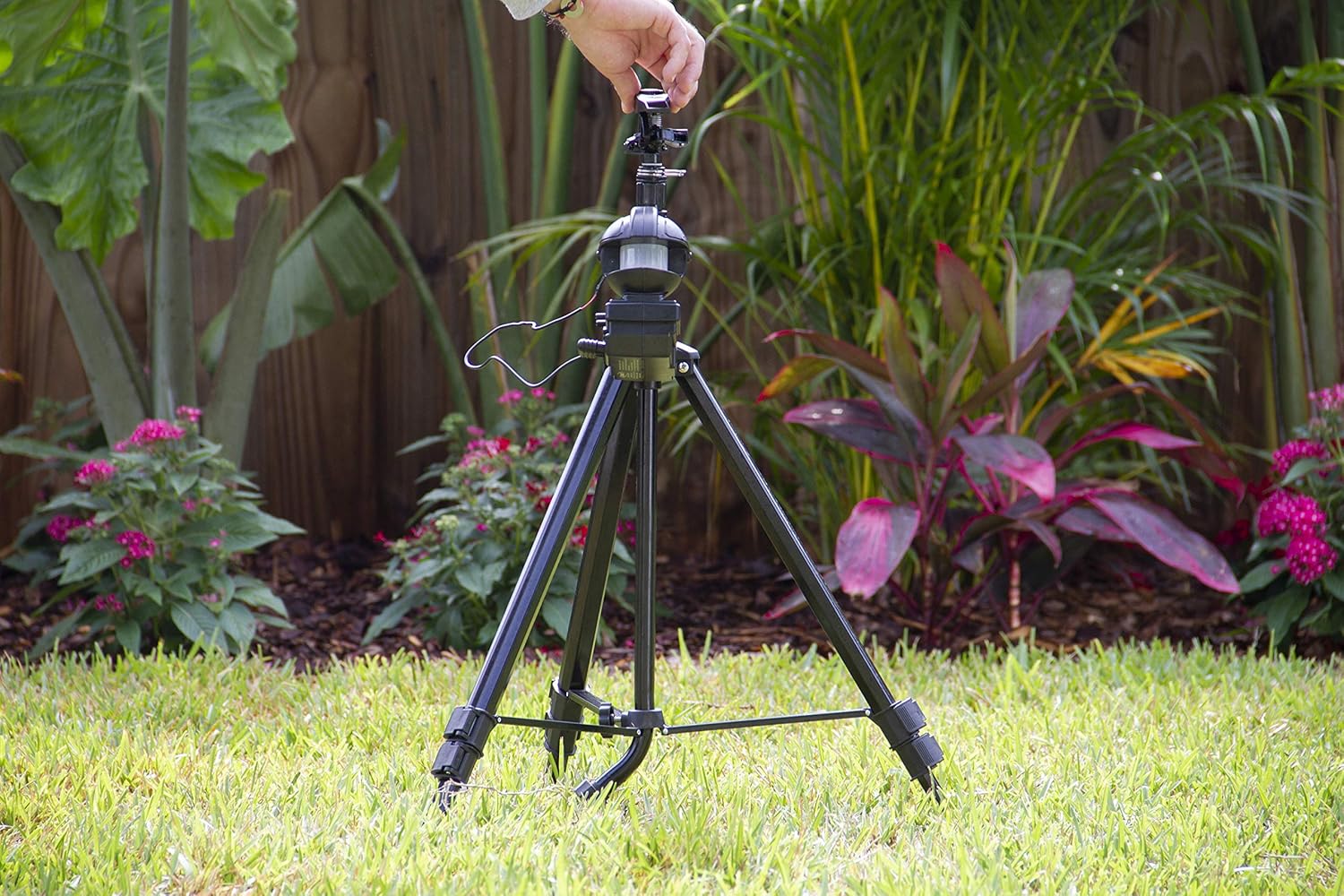 Arroseur Orbit Garden Enforcer activé par le mouvement