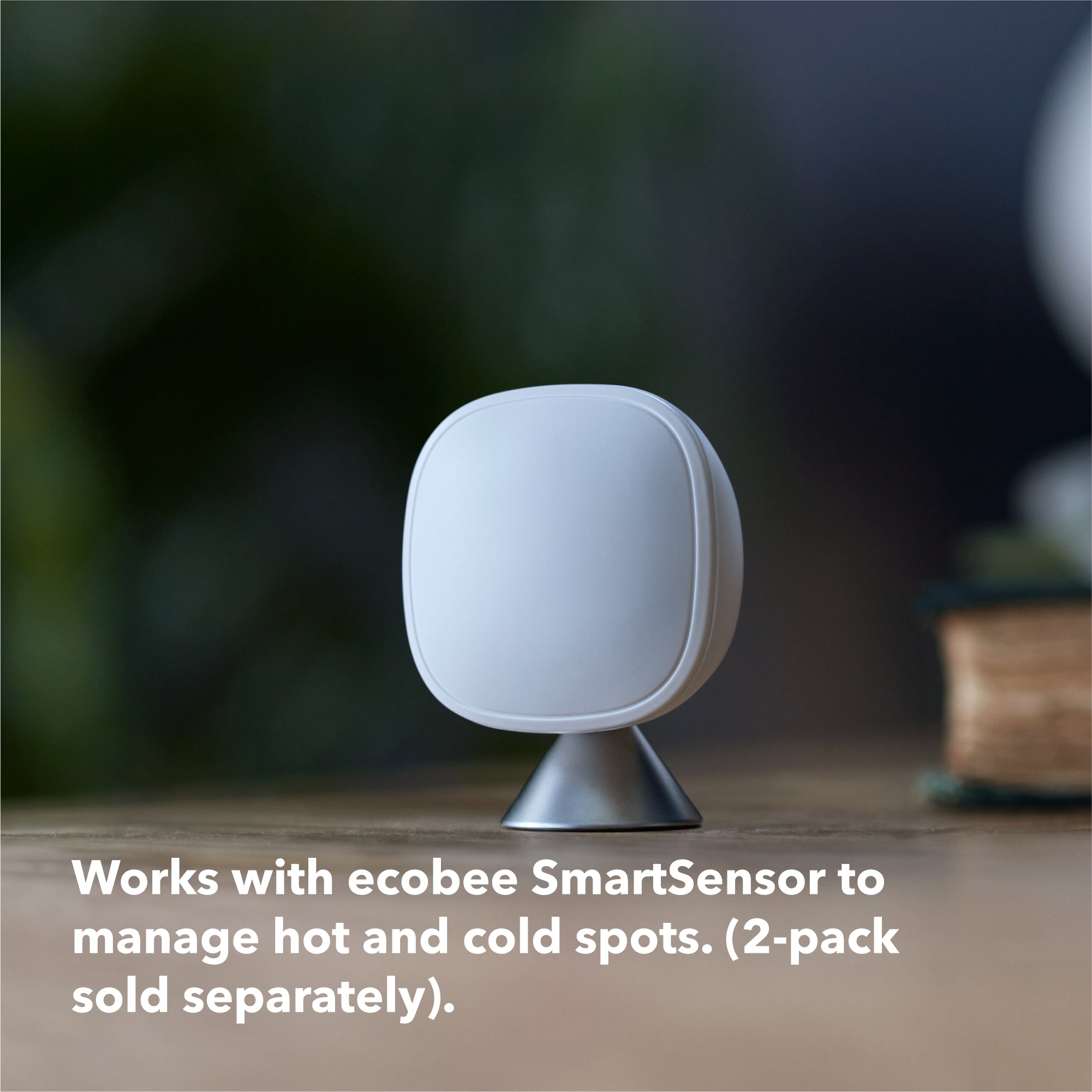 Ecobee Smart Thermostat Essential