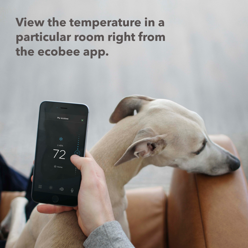 Ecobee Smart Sensors