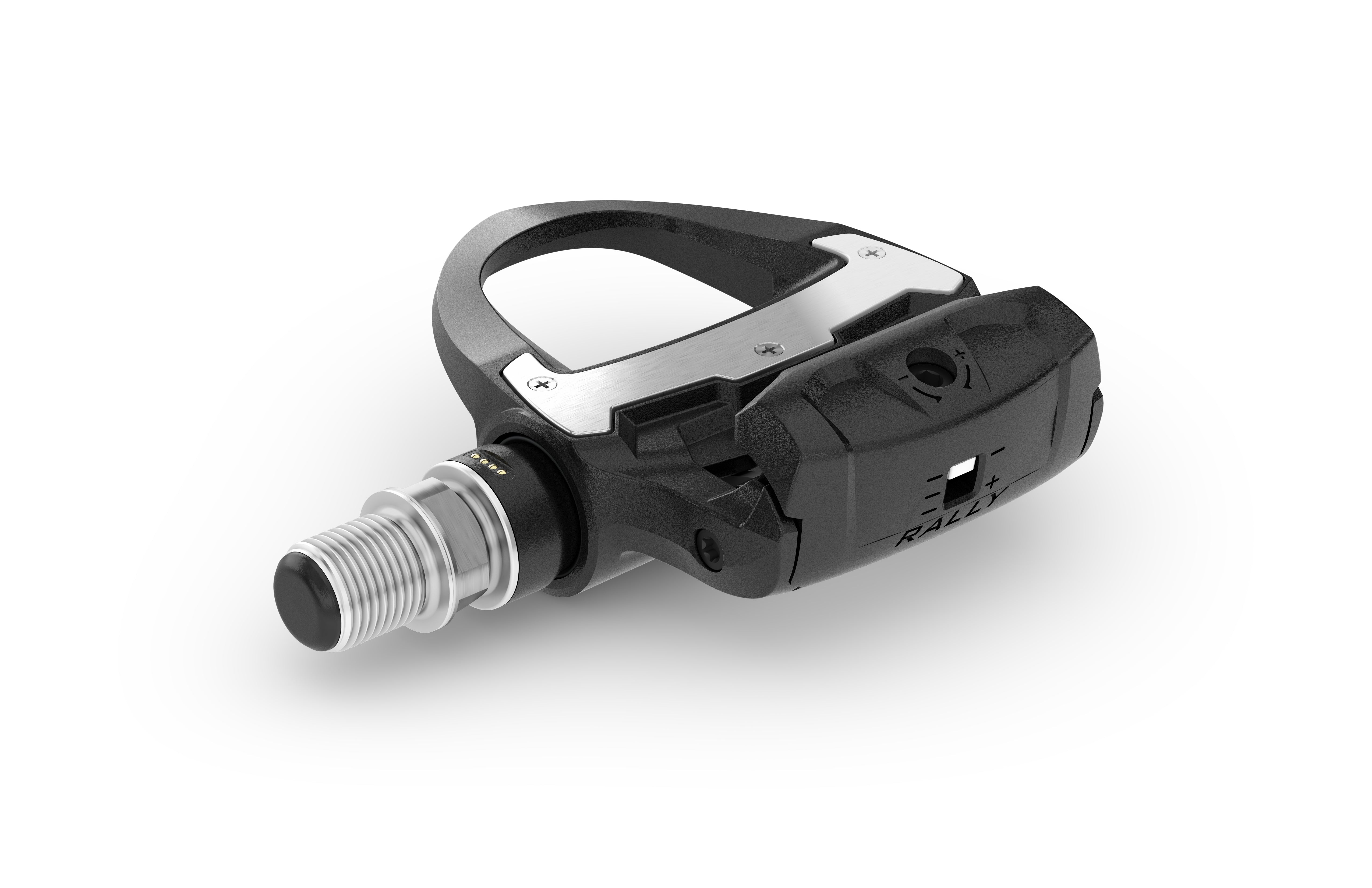 Garmin Rally RS210