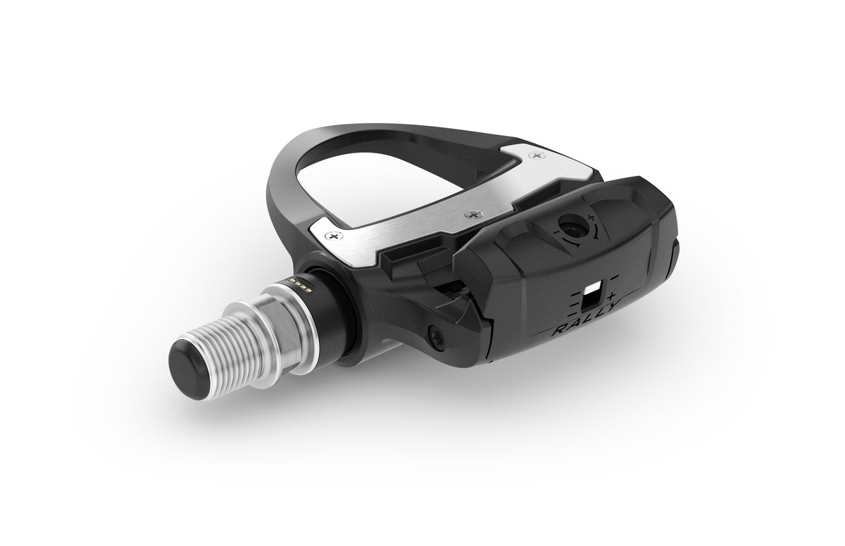 Garmin Rally RS210