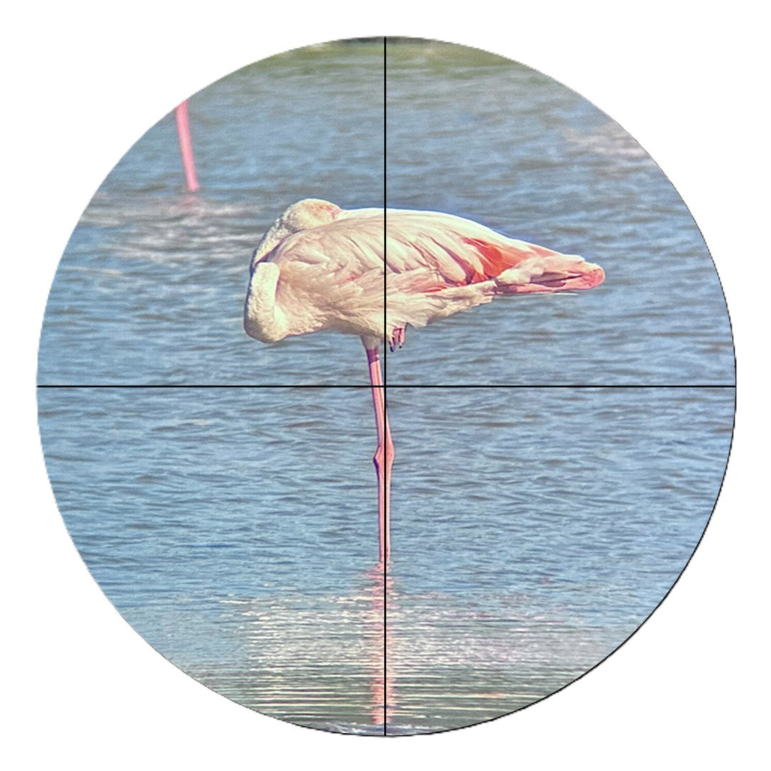 Lunette de visée Vaonis Explorer les merveilles du soleil en toute sécurité