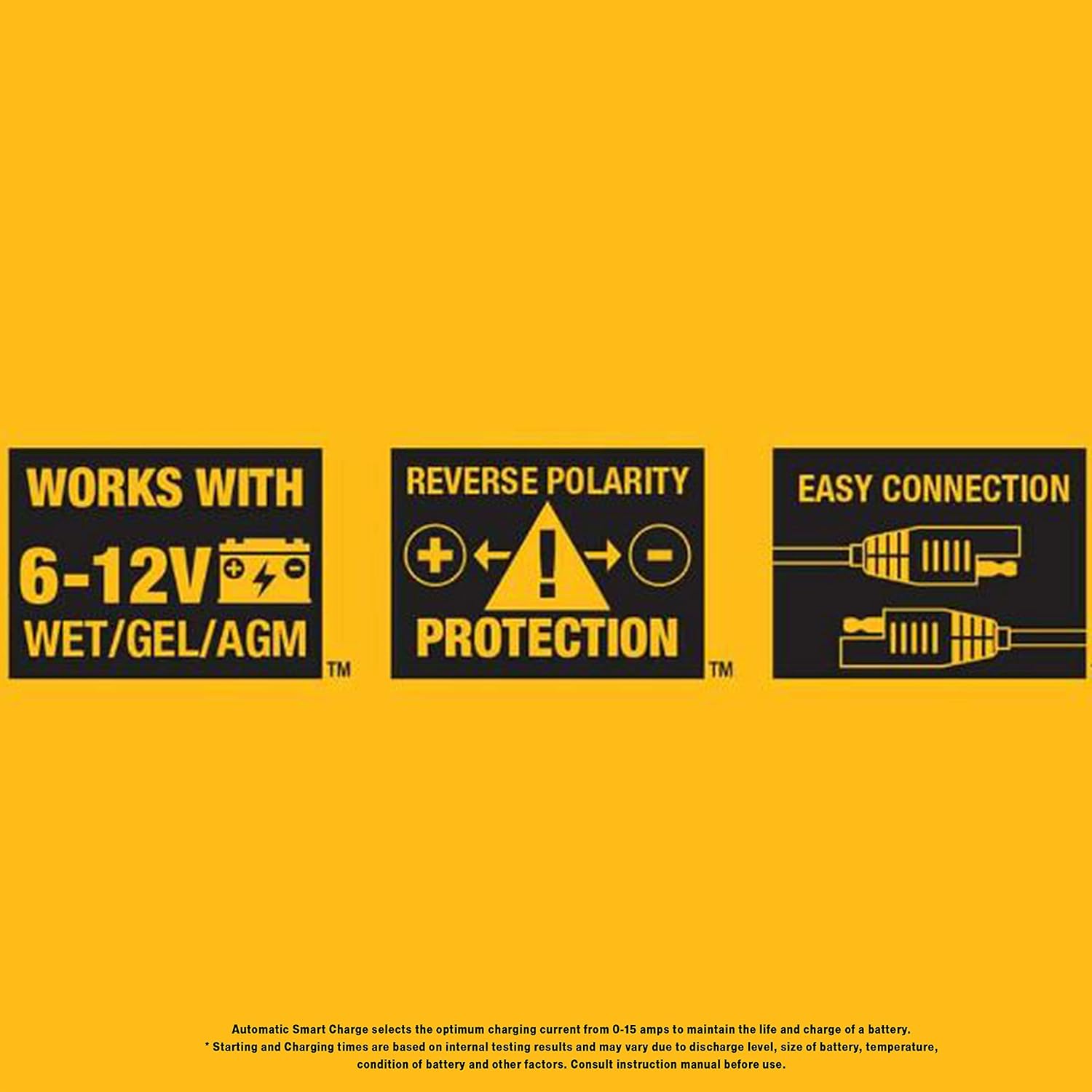 Dewalt Professional 2 Amp Automotive Battery Charger/Maintainer (chargeur/mainteneur de batterie automobile)