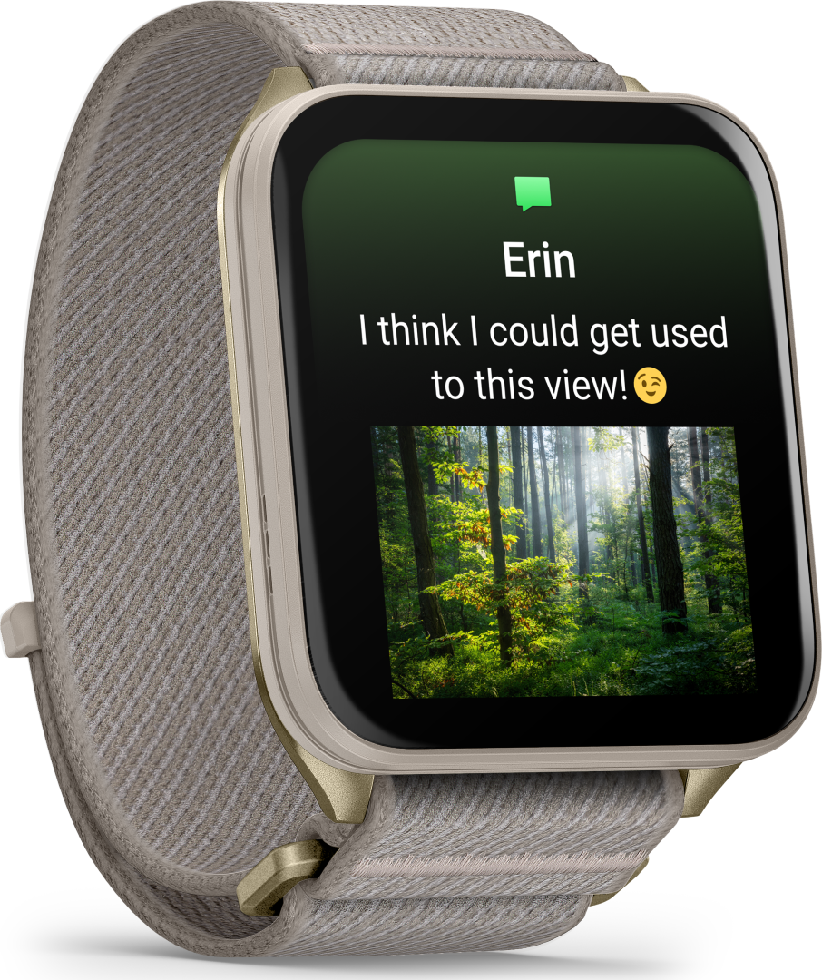 Garmin VenuX1 Soft Gold with Titanium Caseback & French Gray Nylon