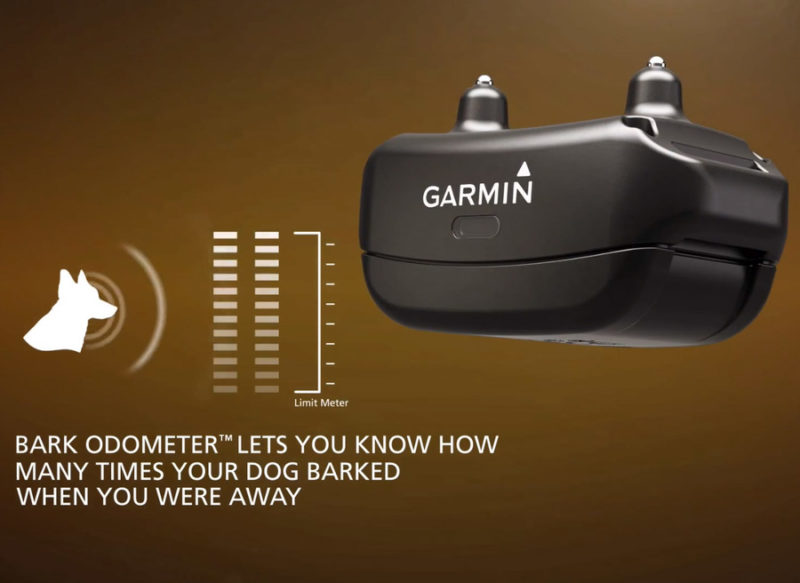 Garmin Bark Limiter Deluxe Dog Training Device - Black