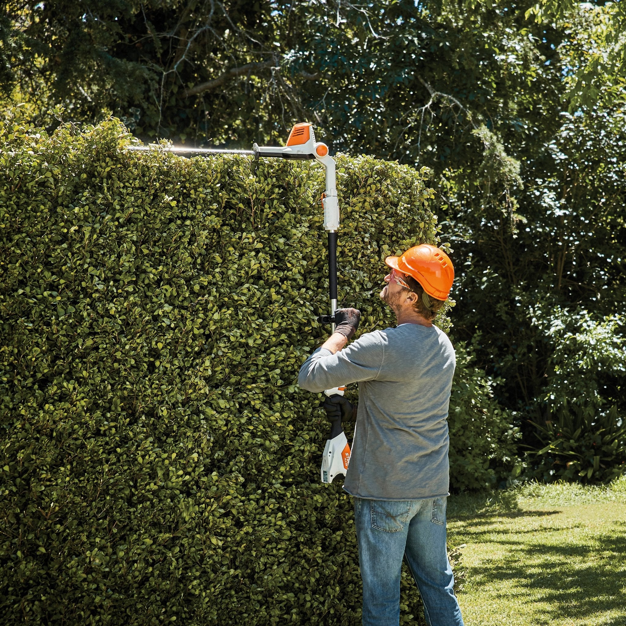 Stihl HLA 56 Hedge Trimmer 18"
