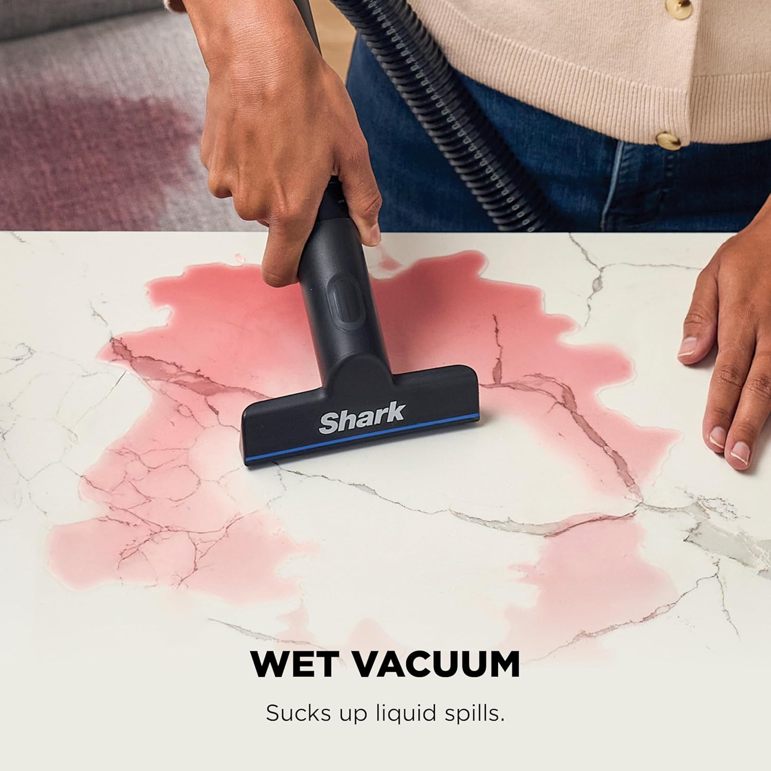 Shark MessMaster Portable Wet/Dry Vac