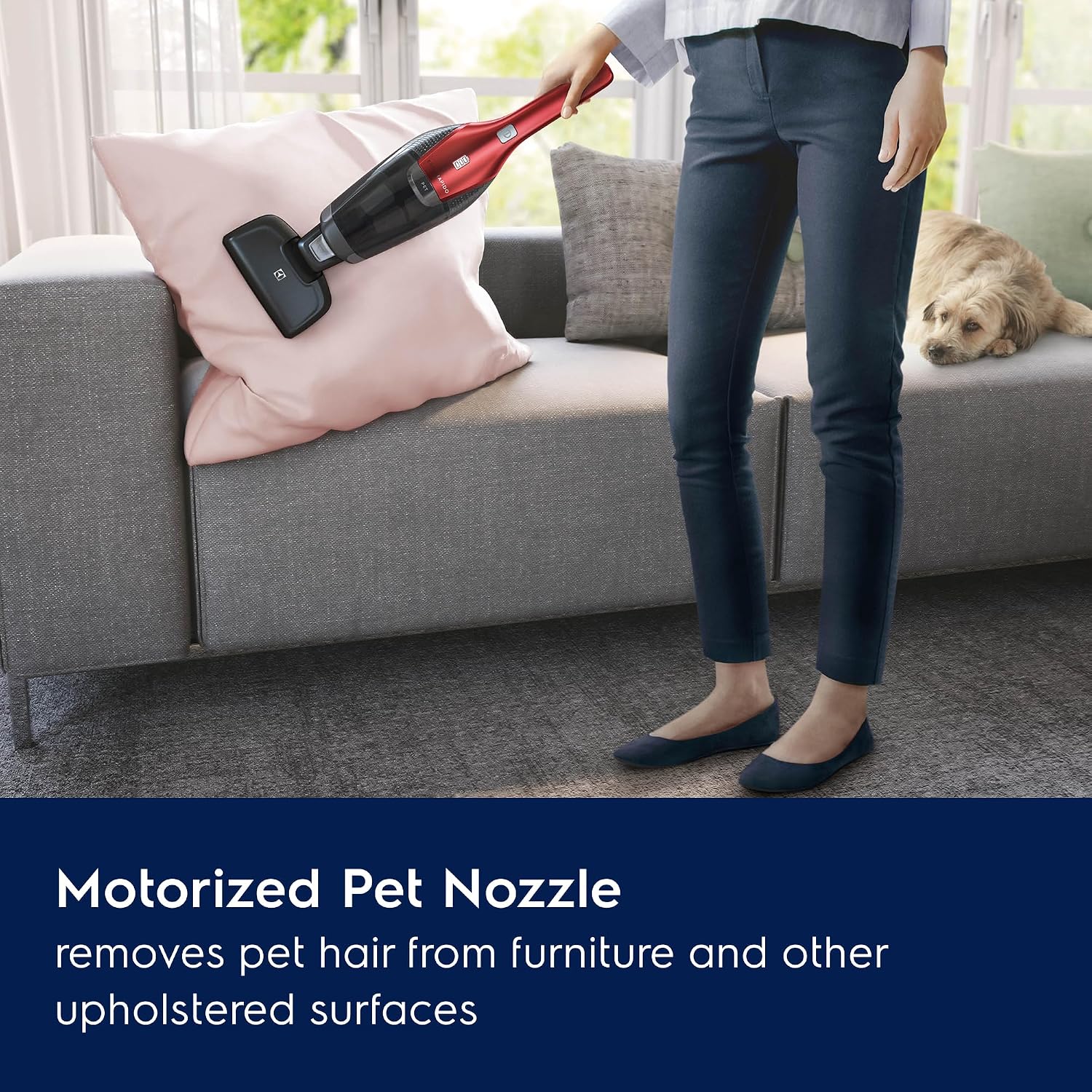 Electrolux Ergorapido Pet