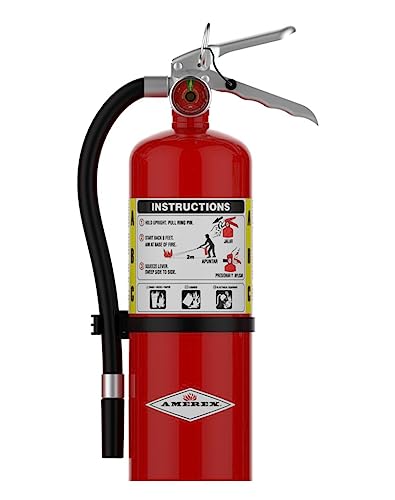 Extincteur polyvalent Amerex B402 ABC, 5 lb