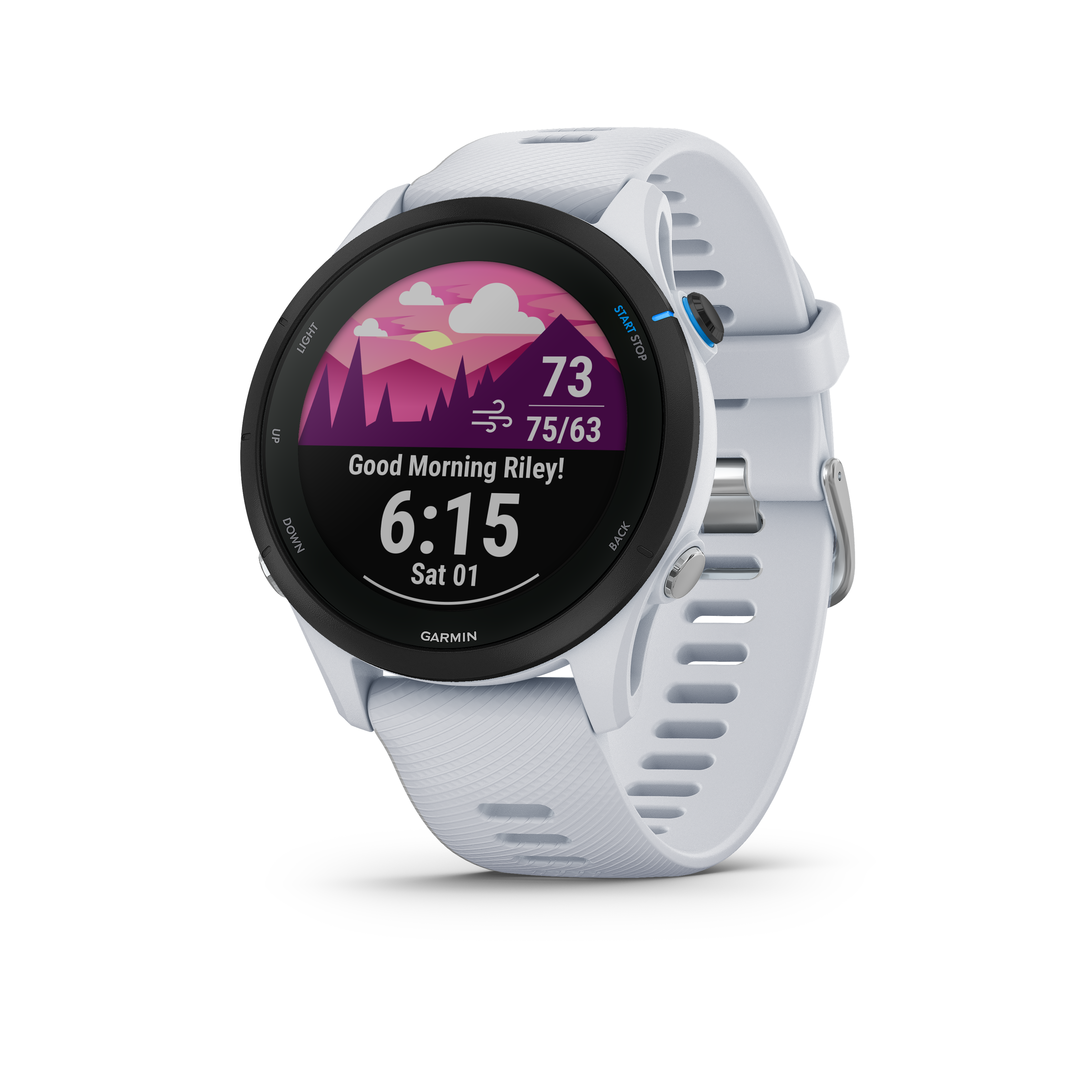 Garmin Forerunner 255 Montre musicale - Whitestone