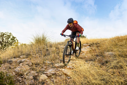 Garmin Rally RK110