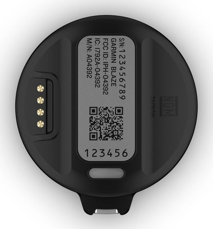 Garmin Blaze Equine Wellness System