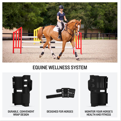 Garmin Blaze Equine Wellness System