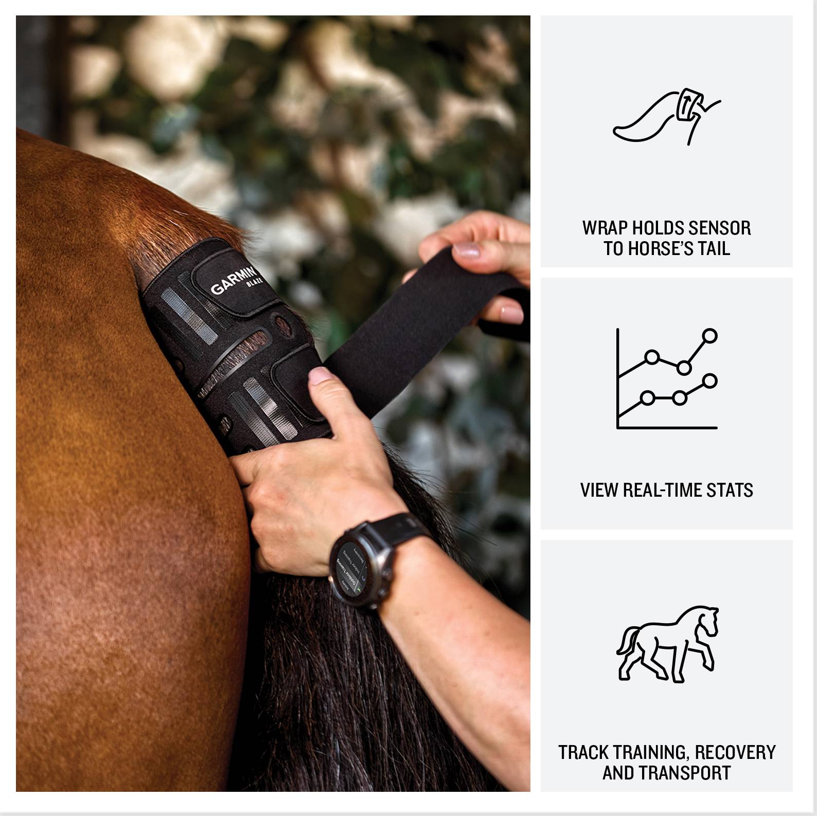 Système de bien-être équin Garmin Blaze