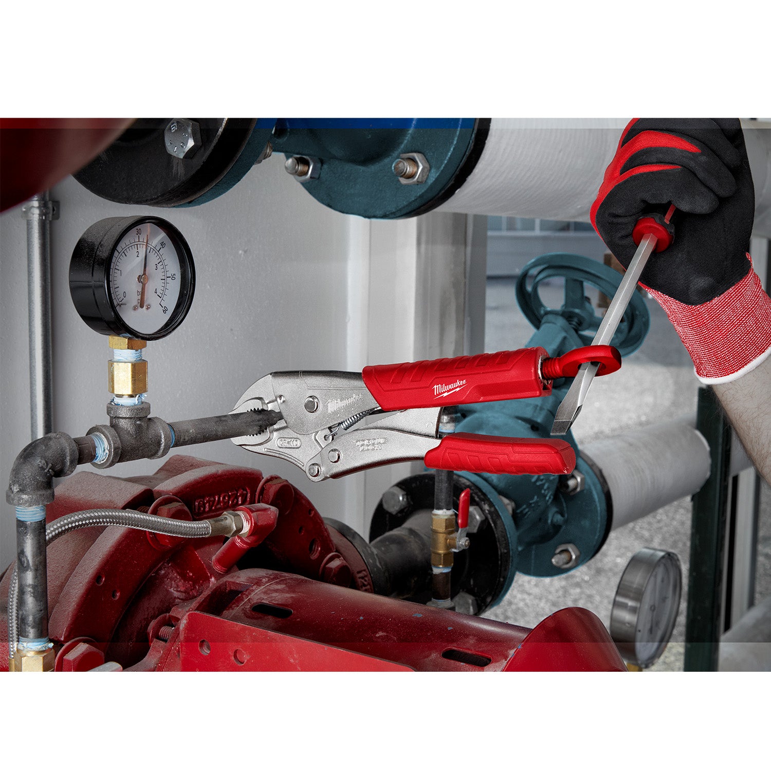 10" TORQUE LOCK Curved Jaw Locking Pliers with Grip