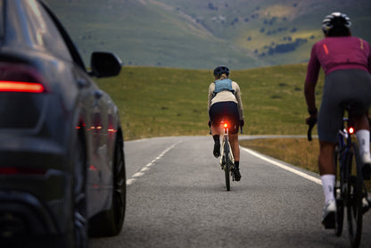 Garmin Varia RearVue 820