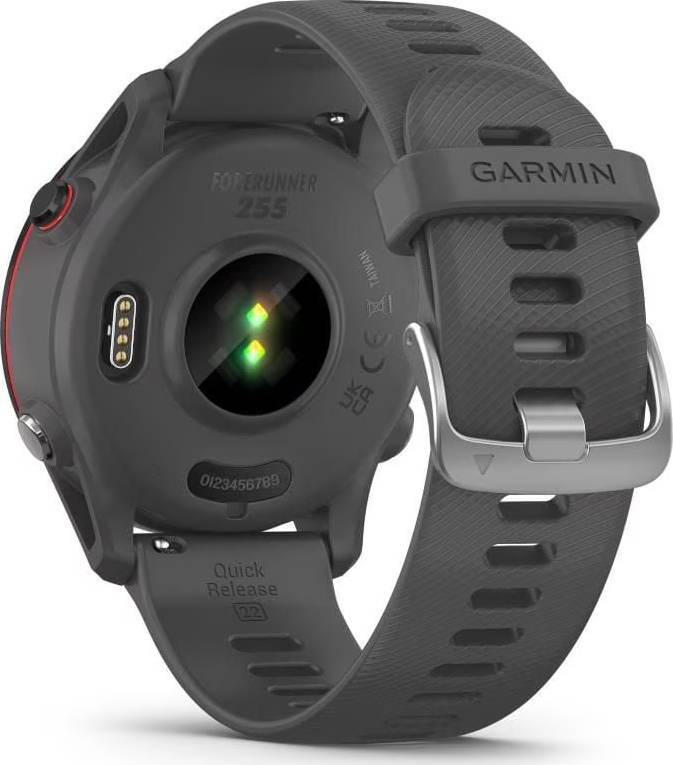 Garmin Forerunner 255 - Gris ardoise