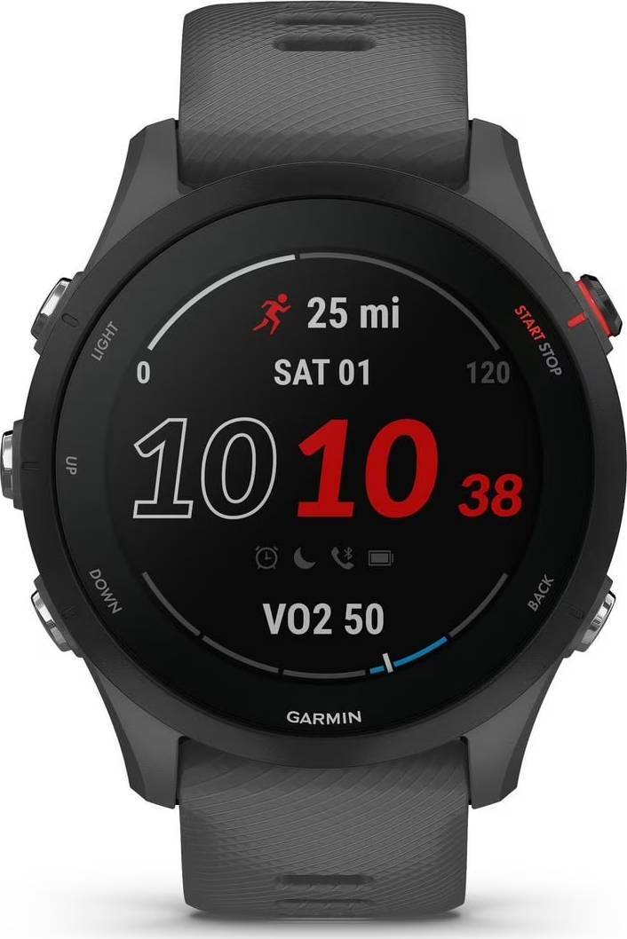 Garmin Forerunner 255 - Gris ardoise