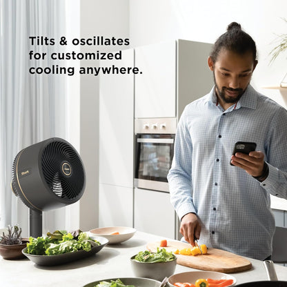 Shark FlexBreeze Fan with InstaCool Mist Attachment - Black