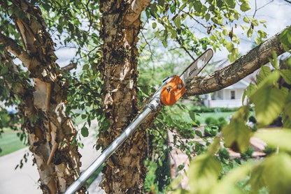 Stihl HT 135 Gas Telescopic Pole Pruner