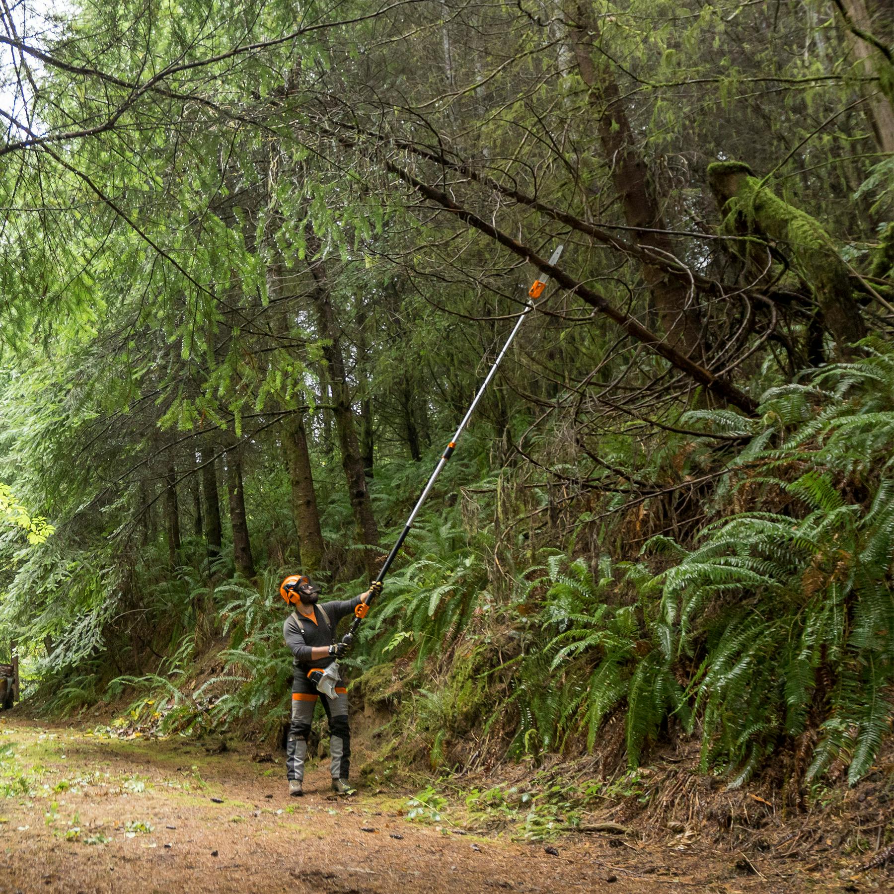 Stihl HT 135 Gas Telescopic Pole Pruner