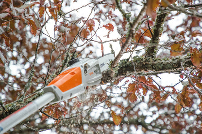 Stihl HTA 50 Battery Pole Pruner - AK System