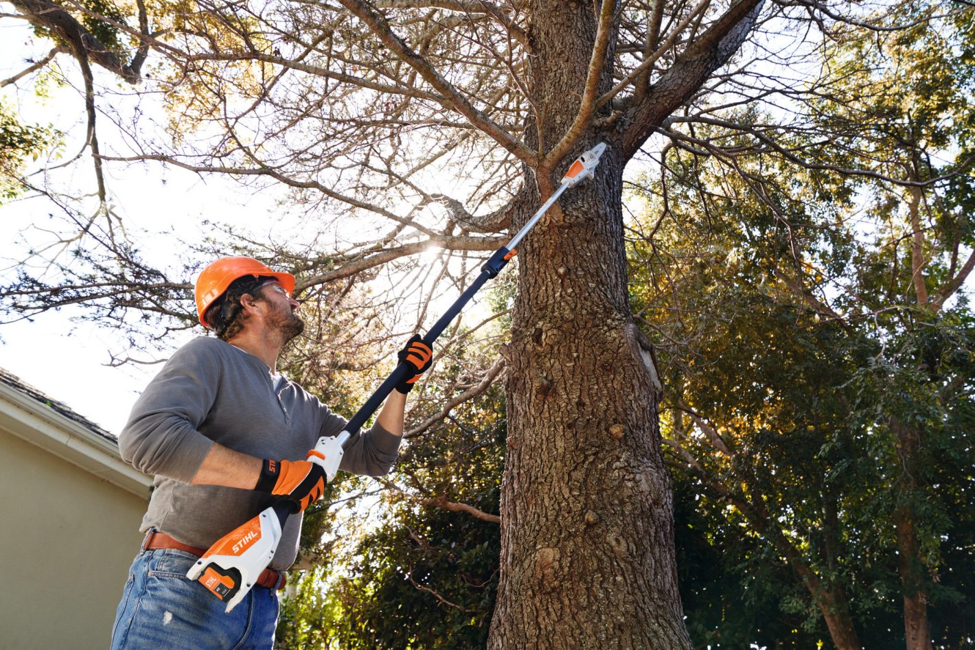 Stihl HTA 50 Battery Pole Pruner - AK System