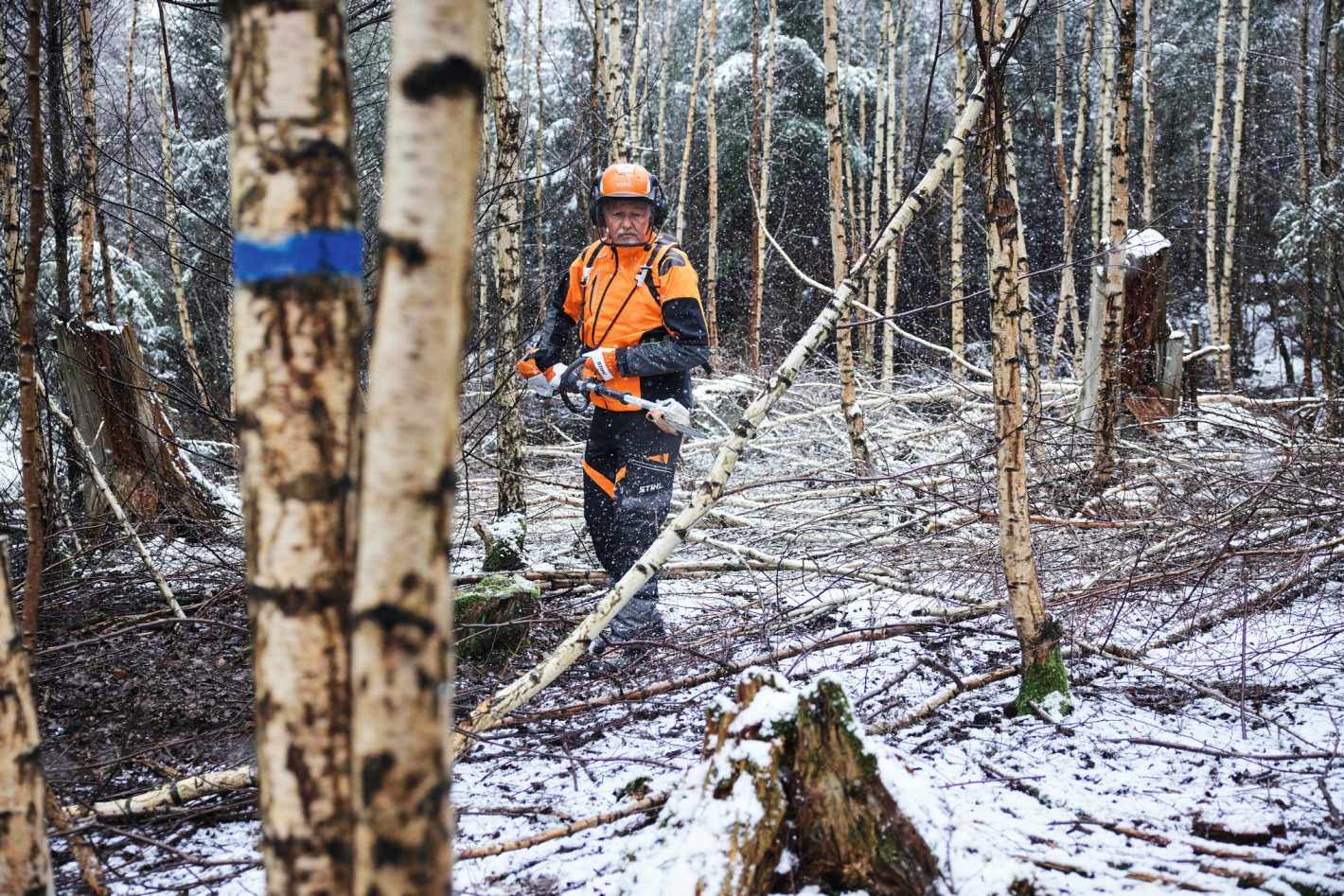 Stihl Hta 150 Battery Pole Pruner - Ap System