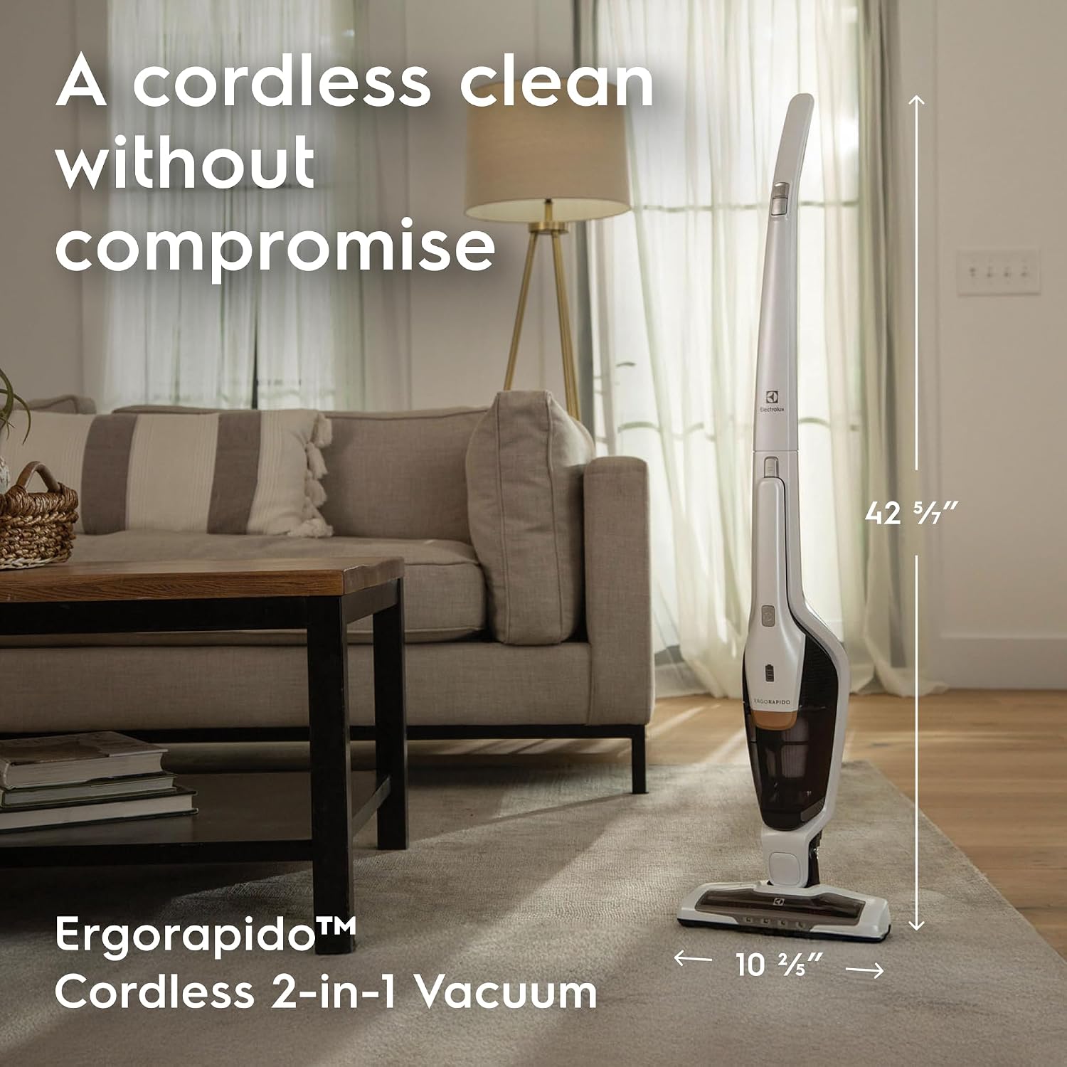 Electrolux Ergo Rapido Standard