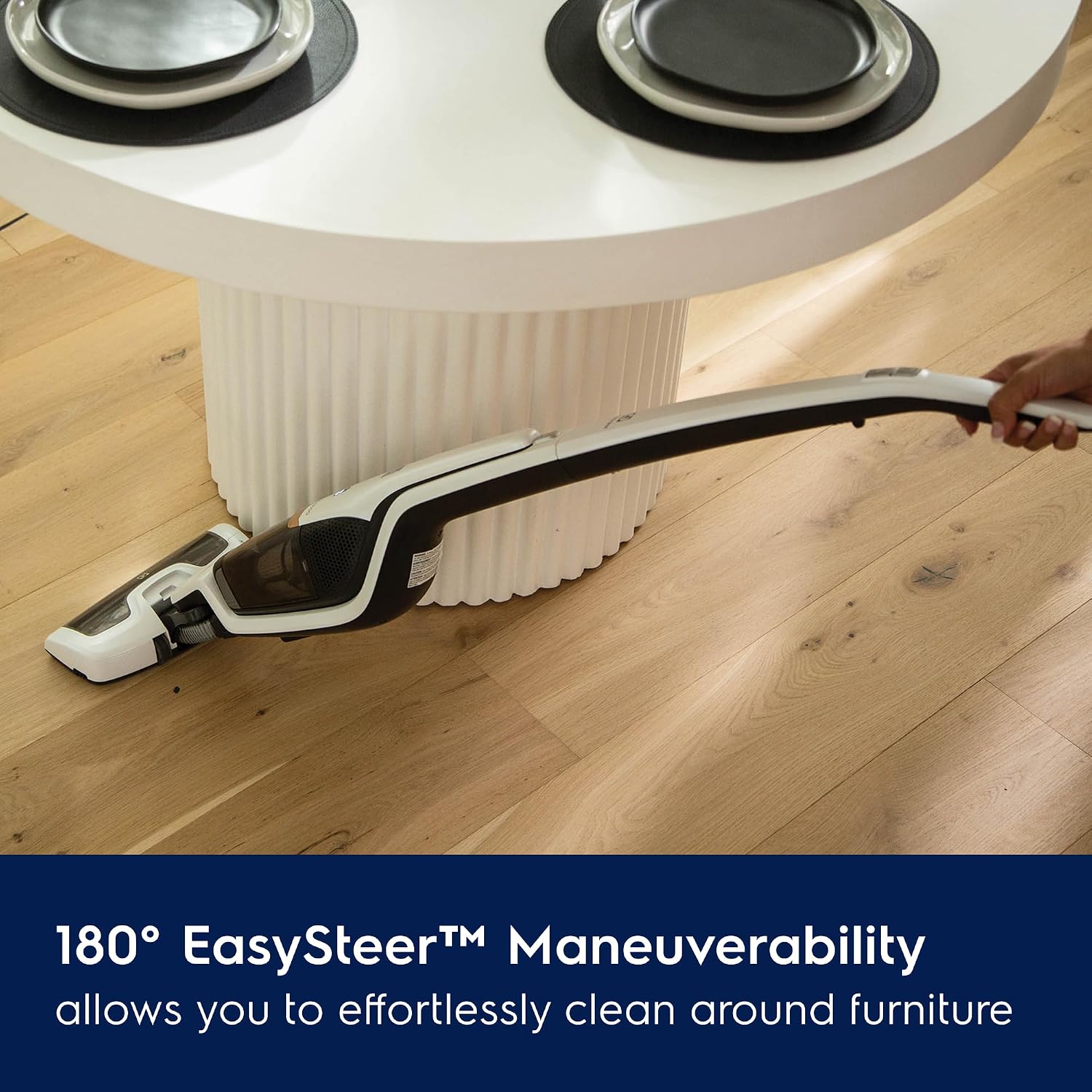 Electrolux Ergo Rapido Standard