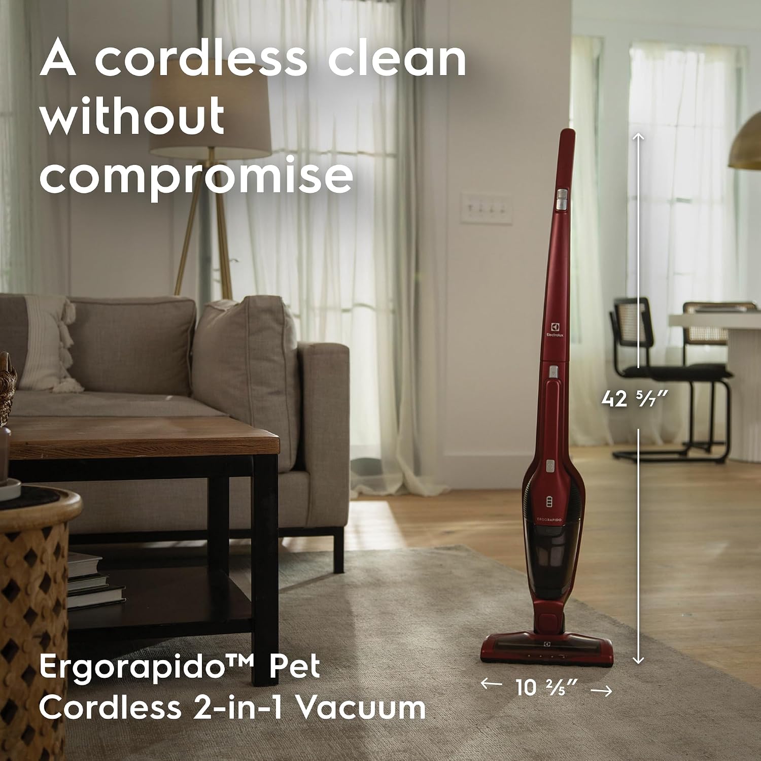 Electrolux Ergorapido Pet